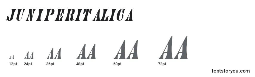 Размеры шрифта JuniperItalica