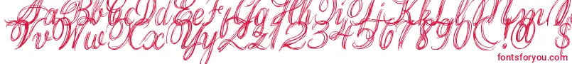 ThankYouDrf Font – Red Fonts on White Background