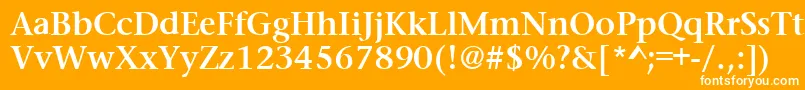 フォントPrudentialBold – オレンジの背景に白い文字