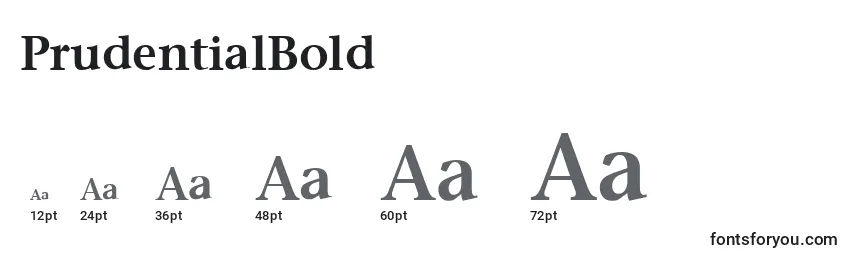 sizes of prudentialbold font, prudentialbold sizes