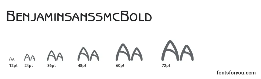 BenjaminsanssmcBold Font Sizes