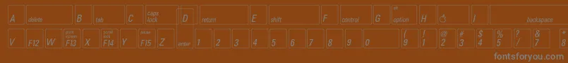 Keyfontusa Font – Gray Fonts on Brown Background