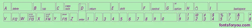 Шрифт Keyfontusa – фиолетовые шрифты на зелёном фоне