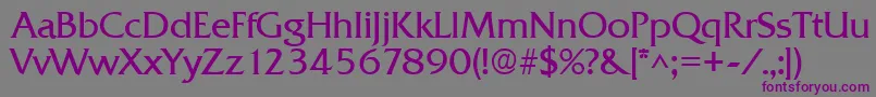 QuadratRegular-Schriftart – Violette Schriften auf grauem Hintergrund