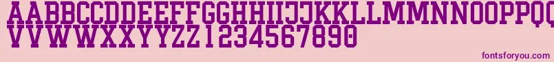 LimbusDemo Font – Purple Fonts on Pink Background