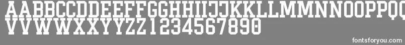 LimbusDemo Font – White Fonts on Gray Background