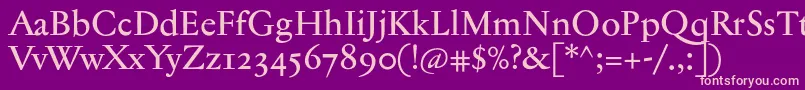 Jannontextmedosf Font – Pink Fonts on Purple Background