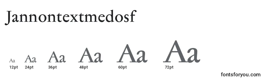 Размеры шрифта Jannontextmedosf