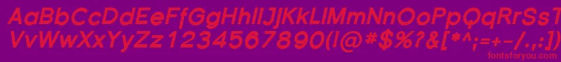 FlorencesansBlackItalic Font – Red Fonts on Purple Background