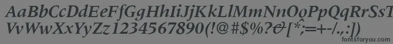 M690RomanBolditalic Font – Black Fonts on Gray Background