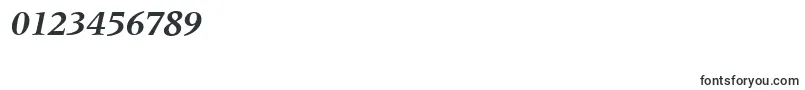 M690RomanBolditalic Font – Fonts for Numbers and Digits