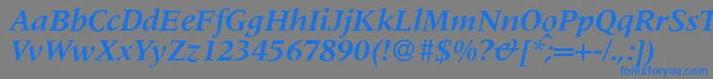 M690RomanBolditalic Font – Blue Fonts on Gray Background