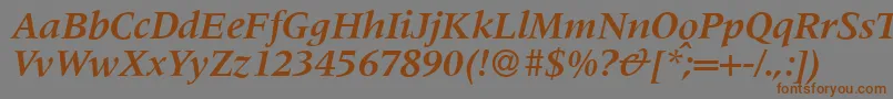 フォントM690RomanBolditalic – 茶色の文字が灰色の背景にあります。