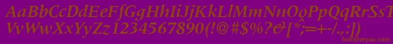 More about M690RomanBolditalic Font M690RomanBolditalic Font – Brown Fonts on Purple Background