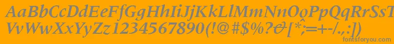 M690RomanBolditalic Font – Gray Fonts on Orange Background