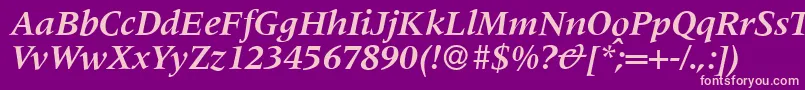 M690RomanBolditalic Font – Pink Fonts on Purple Background