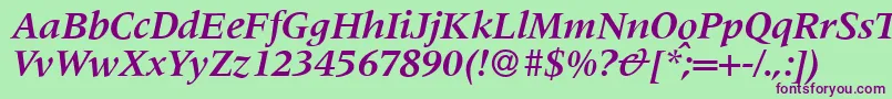 M690RomanBolditalic Font – Purple Fonts on Green Background