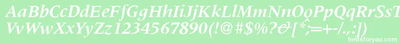 M690RomanBolditalic Font – White Fonts on Green Background