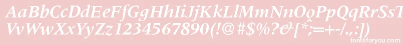 M690RomanBolditalic Font – White Fonts on Pink Background