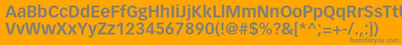 フォントVectoraltstdBold – オレンジの背景に灰色の文字