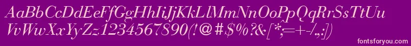 BodonirecutItalic-Schriftart – Rosa Schriften auf violettem Hintergrund