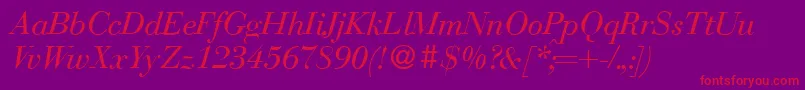 BodonirecutItalic Font – Red Fonts on Purple Background