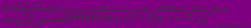 Hafizpersiantt Font – Black Fonts on Purple Background