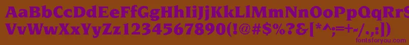 NavarroUltraRegular Font – Purple Fonts on Brown Background