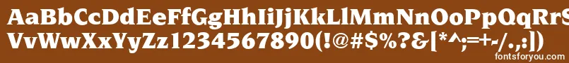 NavarroUltraRegular Font – White Fonts on Brown Background