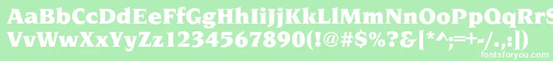 NavarroUltraRegular Font – White Fonts on Green Background