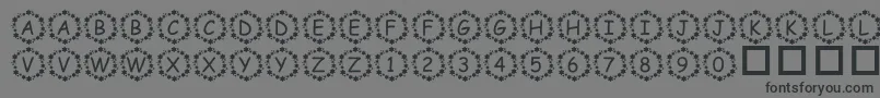 フォントPfSurroundedByStars – 黒い文字の灰色の背景
