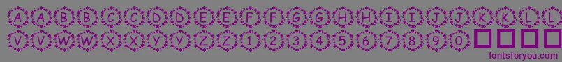 フォントPfSurroundedByStars – 紫色のフォント、灰色の背景