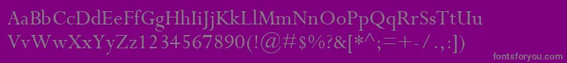 PerpetuaMt-Schriftart – Graue Schriften auf violettem Hintergrund