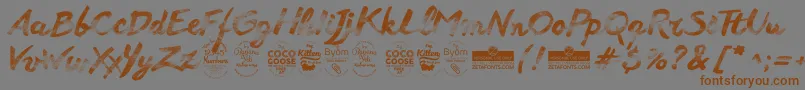 Anotherwetshabbytrial Font – Brown Fonts on Gray Background
