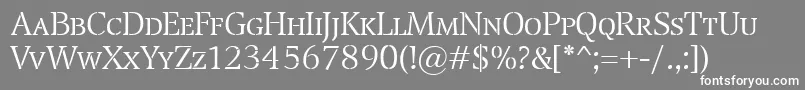 TransportLightSc Font – White Fonts on Gray Background
