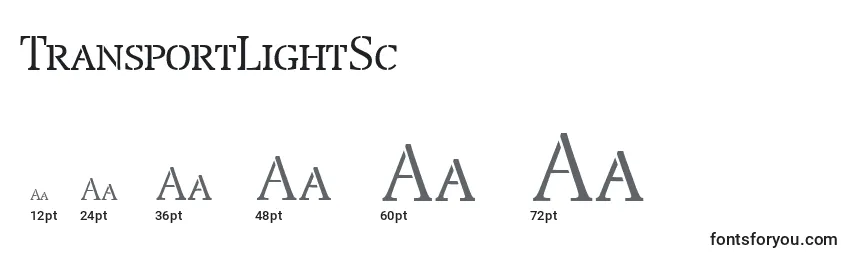 Размеры шрифта TransportLightSc