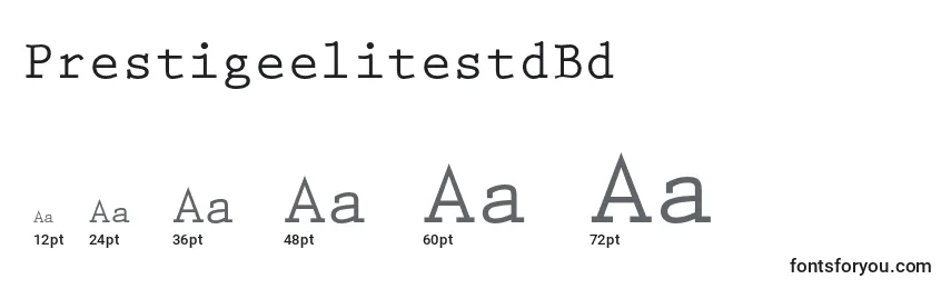 PrestigeelitestdBd Font Sizes
