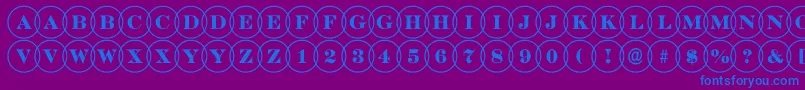 DiscoserifovlRegular-Schriftart – Blaue Schriften auf violettem Hintergrund