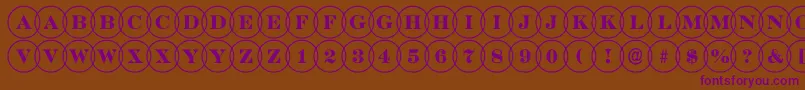 DiscoserifovlRegular Font – Purple Fonts on Brown Background