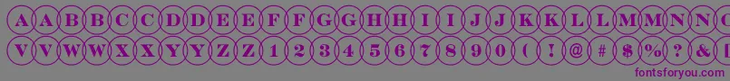 DiscoserifovlRegular Font – Purple Fonts on Gray Background