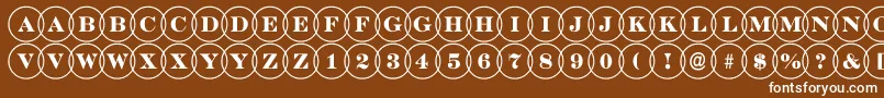 DiscoserifovlRegular Font – White Fonts on Brown Background