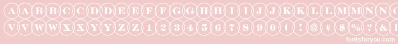 DiscoserifovlRegular Font – White Fonts on Pink Background