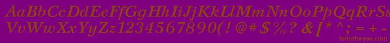 SvetlanacBolditalic Font – Brown Fonts on Purple Background