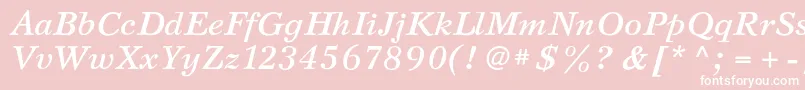 SvetlanacBolditalic Font – White Fonts on Pink Background