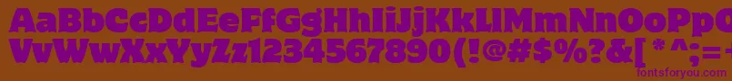 MotterCorpusItcTt Font – Purple Fonts on Brown Background