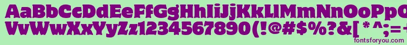 MotterCorpusItcTt Font – Purple Fonts on Green Background