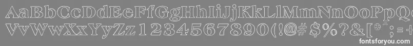 AmphionOutline Font – White Fonts on Gray Background