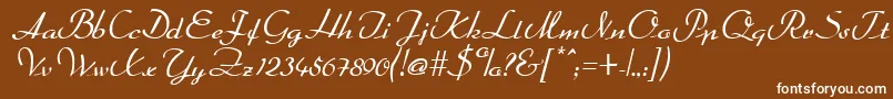 DahrlinRegular Font – White Fonts on Brown Background