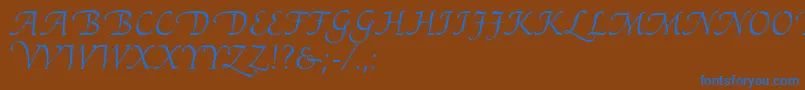Подробнее о шрифте AriadneRoman Шрифт AriadneRoman – синие шрифты на коричневом фоне
