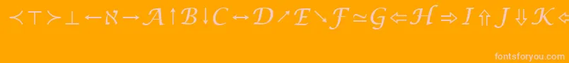 LucidaBrightMathSymbolRegular Font – Pink Fonts on Orange Background